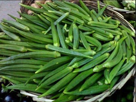 Bhindi 500 gms ( Only for Munich Based Customers)
