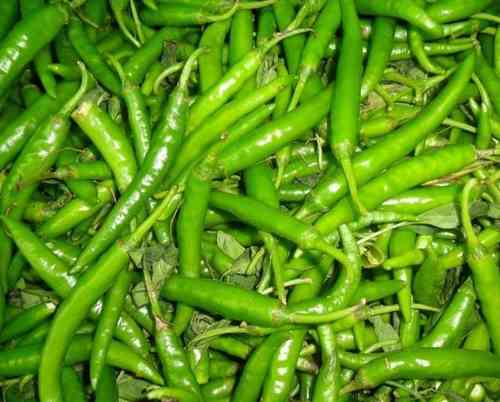 Green Chillies 250 gms ( Only for Customers based in Munich)